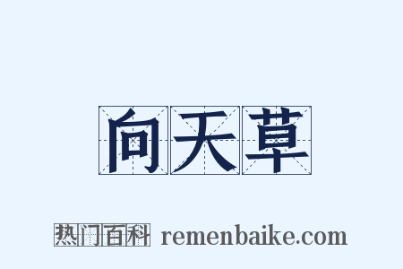 向天草是什么意思的图片